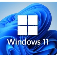 Windows 11 PRO Edition