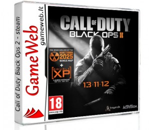 Call of Duty - Black Ops 2 EU - STEAM Key